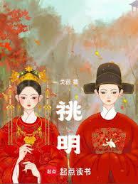 晚明风华丁灵司